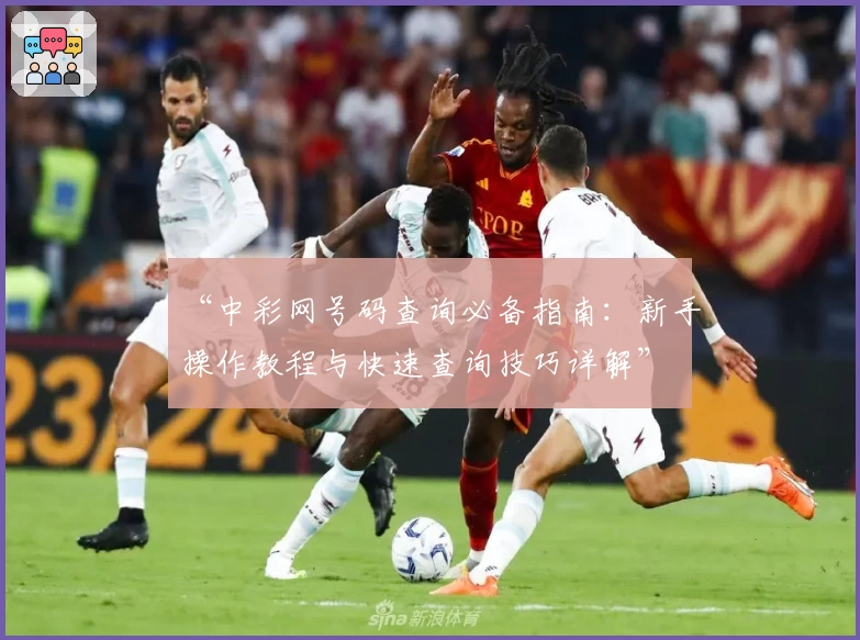 “中彩网号码查询必备指南：新手操作教程与快速查询技巧详解”