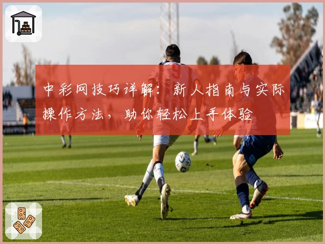 中彩网技巧详解：新人指南与实际操作方法，助你轻松上手体验