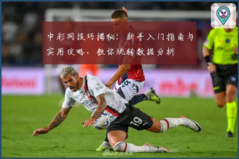 中彩网技巧揭秘:新手入门指南与实用攻略,教你玩转数据分析