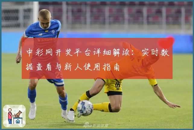 中彩网开奖平台详细解读：实时数据查看与新人使用指南