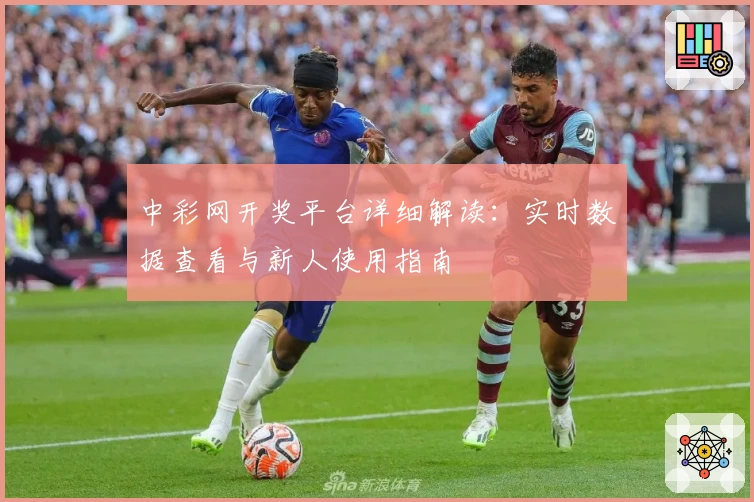 中彩网开奖平台详细解读：实时数据查看与新人使用指南