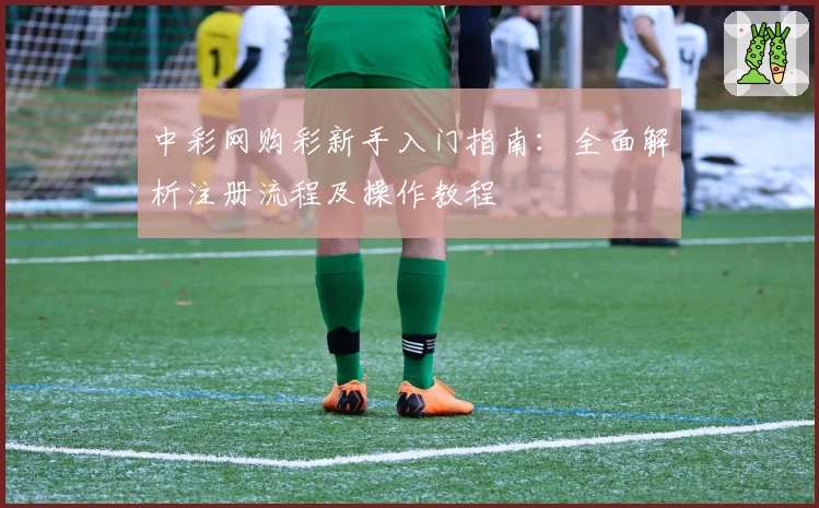 中彩网购彩新手入门指南：全面解析注册流程及操作教程