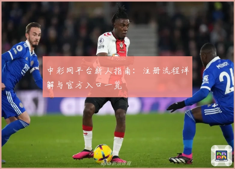 中彩网平台新人指南：注册流程详解与官方入口一览