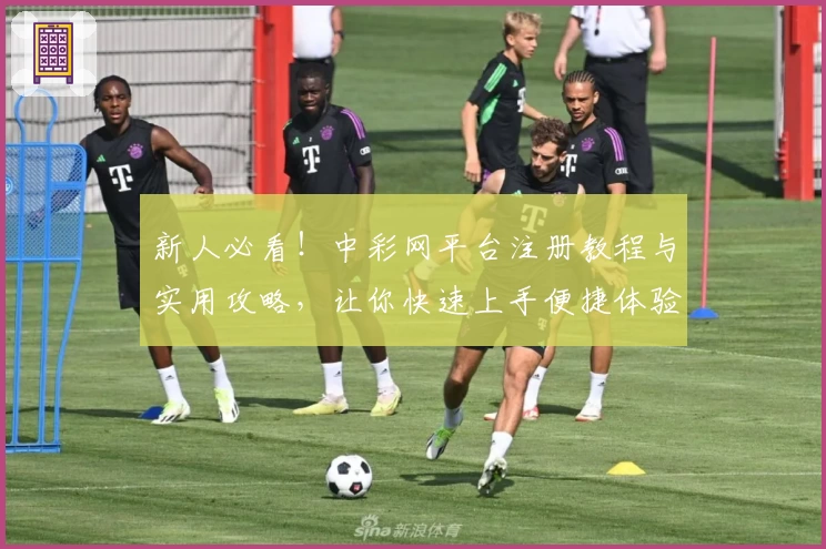 新人必看！中彩网平台注册教程与实用攻略，让你快速上手便捷体验