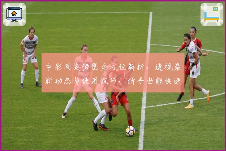 中彩网走势图全方位解析，透视最新动态与使用技巧，新手也能快速上手