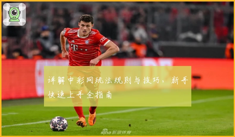 详解中彩网玩法规则与技巧，新手快速上手全指南