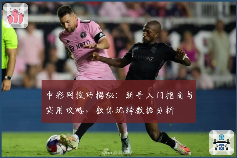 中彩网技巧揭秘:新手入门指南与实用攻略,教你玩转数据分析