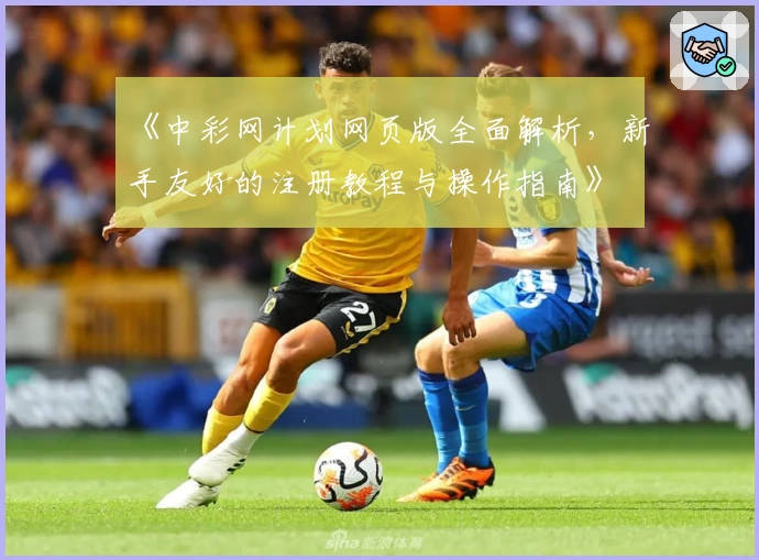 《中彩网计划网页版全面解析,新手友好的注册教程与操作指南》