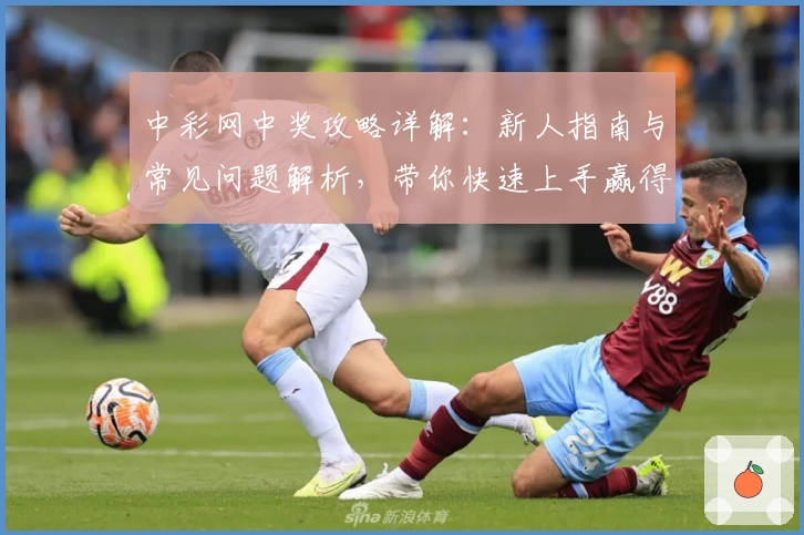 中彩网中奖攻略详解:新人指南与常见问题解析,带你快速上手赢得惊喜